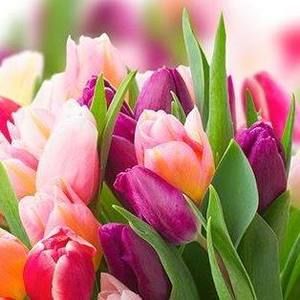 Meet your Posher, Belinda